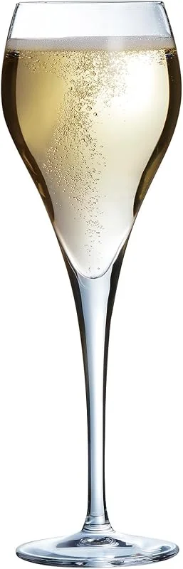 Visita la tienda de Arcoroc Arcoroc Copas de Champagne Brio 16 cl Juego de 6 — Vino y mesa festiva