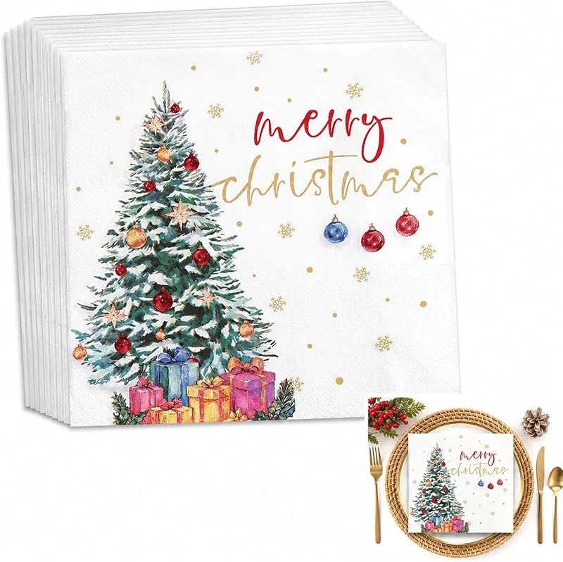 LEFZUR Servilletas de Papel Navidad 40 Unidades, 33x33 cm, Decoración Mesa Navideña, Servilletas Decoradas con Motivos de Invierno, Ideales para Fiestas, Cumpleaños y Celebraciones — Adviento y mesa